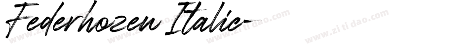 Federhozen Italic字体转换